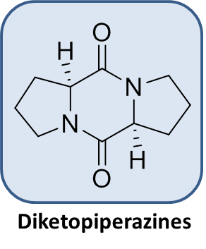 Braese_group_Bettina_R.png
