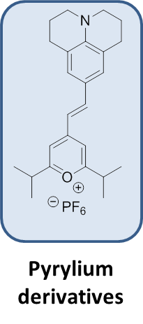 Braese_group_Domini_K(2).png
