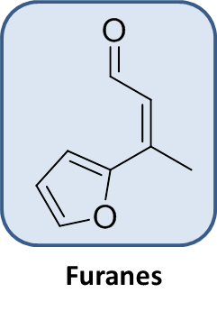 Braese_group_Franziska_G.png