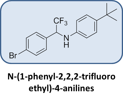 Braese_group_Nadine_A(3).png