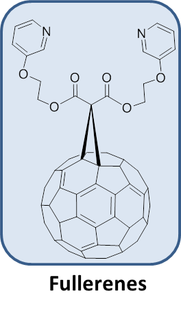 Braese_group_Celine_R.png