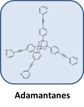 Braese_group_Christine_S.png